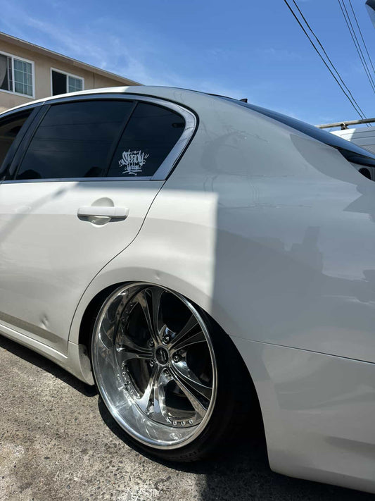 STEADY MOBBIN